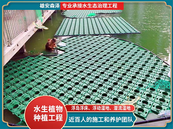 浮岛浮床施工现场 (3)